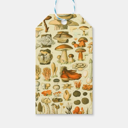 キノコヴィンテージ接種アンティークイラストレーション ギフトタグ (正面)