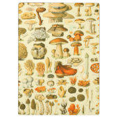 キノコヴィンテージ接種アンティークイラストレーション クリップボード (裏面)