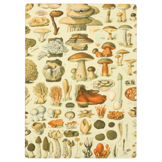 キノコヴィンテージ接種アンティークイラストレーション クリップボード (裏面)