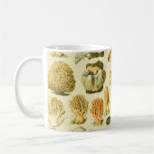 キノコヴィンテージ接種アンティークイラストレーション コーヒーマグカップ (左)