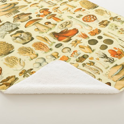 キノコヴィンテージ接種アンティークイラストレーション シェルパブランケット (3/4)