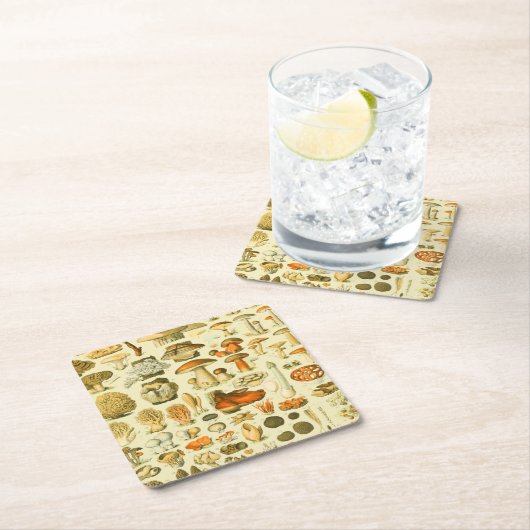 キノコヴィンテージ接種アンティークイラストレーション スクエアペーパーコースター (インサイチュ)