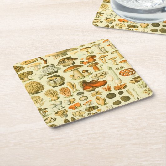 キノコヴィンテージ接種アンティークイラストレーション スクエアペーパーコースター (アングル)