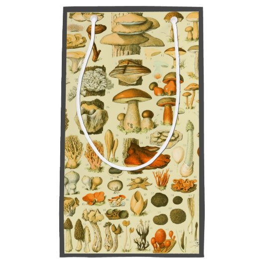 キノコヴィンテージ接種アンティークイラストレーション スモールペーパーバッグ (正面)
