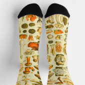 キノコヴィンテージ接種アンティークイラストレーション ソックス (上部)
