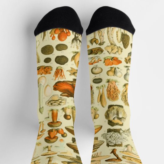 キノコヴィンテージ接種アンティークイラストレーション ソックス (上部)
