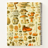 キノコヴィンテージ接種アンティークイラストレーション ノートブック (裏面)