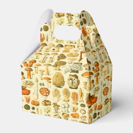 キノコヴィンテージ接種アンティークイラストレーション フェイバーボックス (裏面サイド)