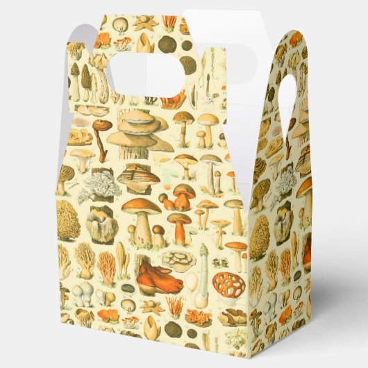 キノコヴィンテージ接種アンティークイラストレーション フェイバーボックス (オープン)