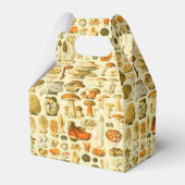 キノコヴィンテージ接種アンティークイラストレーション フェイバーボックス (正面サイド)