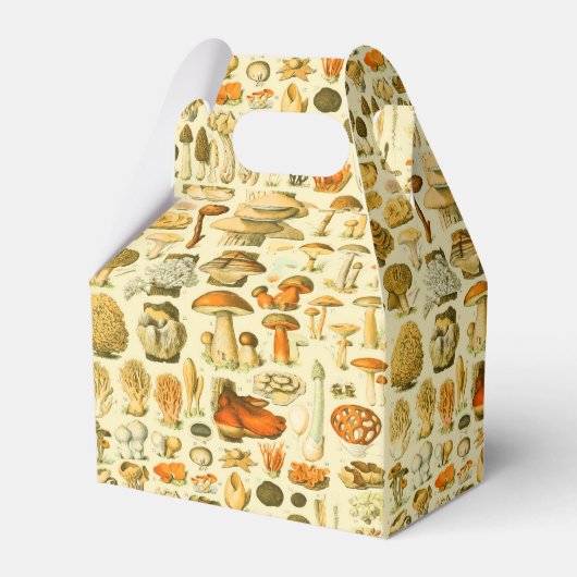 キノコヴィンテージ接種アンティークイラストレーション フェイバーボックス (正面サイド)