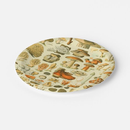 キノコヴィンテージ接種アンティークイラストレーション ペーパープレート (アングル)