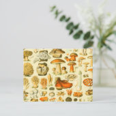 キノコヴィンテージ接種アンティークイラストレーション ポストカード (スタンド正面)