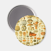 キノコヴィンテージ接種アンティークイラストレーション マグネット (正面/裏面)