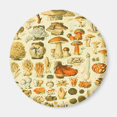 キノコヴィンテージ接種アンティークイラストレーション マグネット (正面)