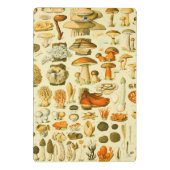 キノコヴィンテージ接種アンティークイラストレーション ミニクリップボード (裏面)