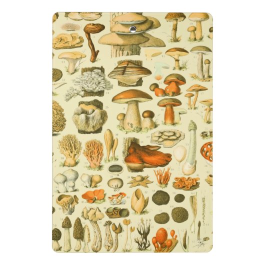 キノコヴィンテージ接種アンティークイラストレーション ミニクリップボード (裏面)