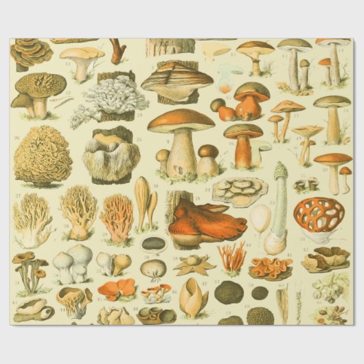 キノコヴィンテージ接種アンティークイラストレーション ラッピングペーパー (フラット)
