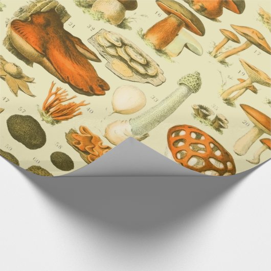 キノコヴィンテージ接種アンティークイラストレーション ラッピングペーパー (角)