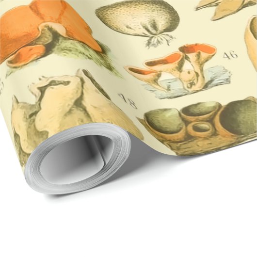 キノコヴィンテージ接種アンティークイラストレーション ラッピングペーパー (ロールコーナー)