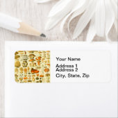 キノコヴィンテージ接種アンティークイラストレーション ラベル (インサイチュ)