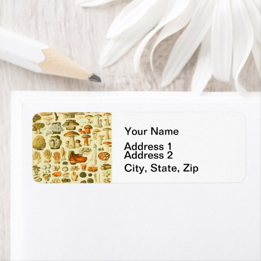 キノコヴィンテージ接種アンティークイラストレーション ラベル (インサイチュ)
