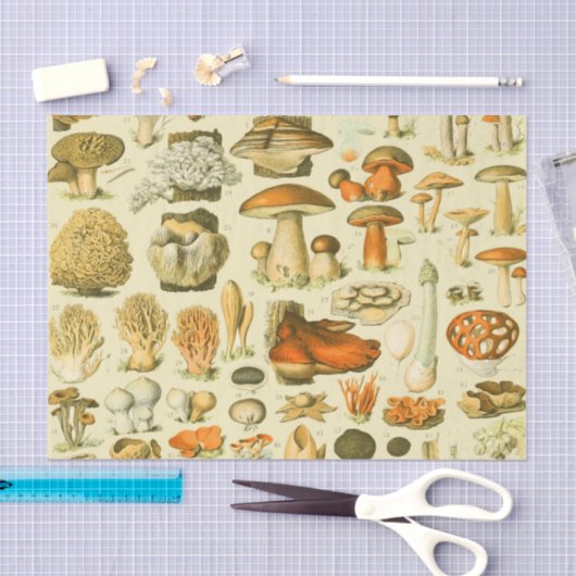 キノコヴィンテージ接種アンティークイラストレーション 薄葉紙 (クラフト)
