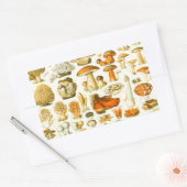 キノコヴィンテージ接種アンティークイラストレーション 長方形シール (封筒)