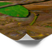 キノコ写真ポスター ポスター (角)