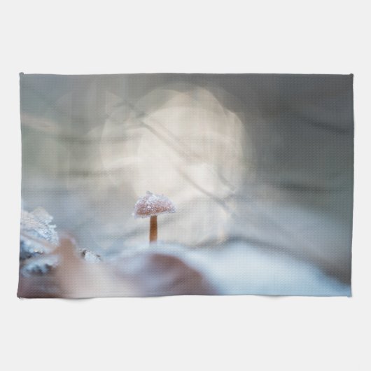キノコ凍ってい写真 キッチンタオル (横)