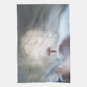 キノコ凍ってい写真 キッチンタオル (縦)