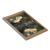 キノコ反射 ノートブック (右側)