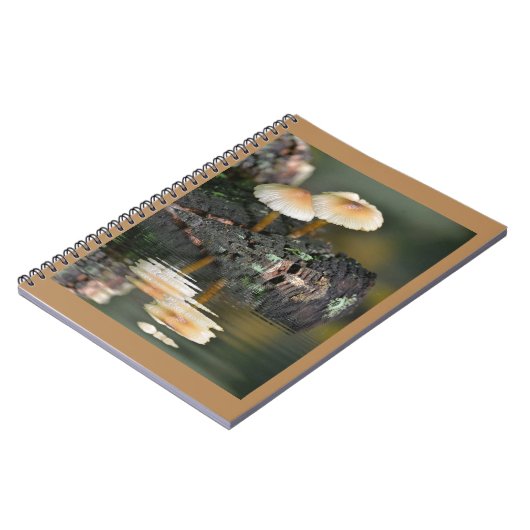 キノコ反射 ノートブック (左側)