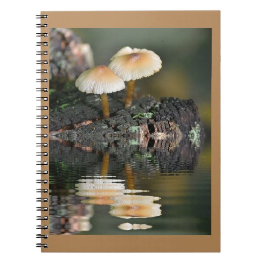 キノコ反射 ノートブック (正面)