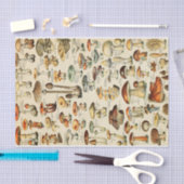 キノコ収集ティッシュペーパー 薄葉紙 (クラフト)