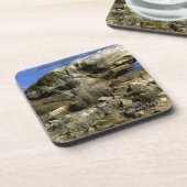 キノコ岩 コースター (左側)