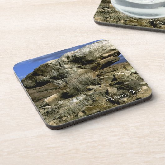 キノコ岩 コースター (左側)