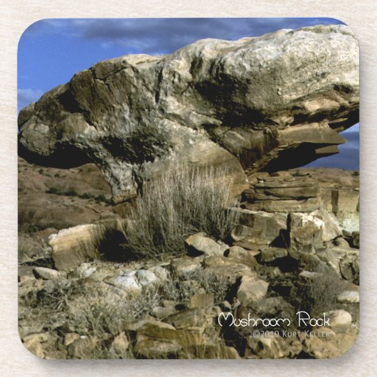 キノコ岩 コースター (正面)