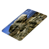 キノコ岩 マグネット (左側)