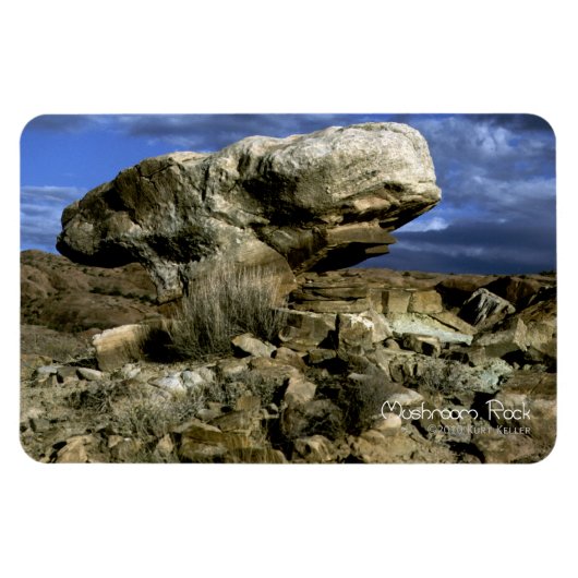 キノコ岩 マグネット (横)