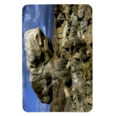 キノコ岩 マグネット (縦)