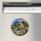 キノコ岩 マグネット (インサイチュ (食洗機))