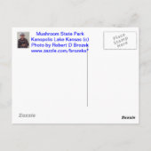 キノコ州パークカノポリスレイクポストカード ポストカード (裏面)