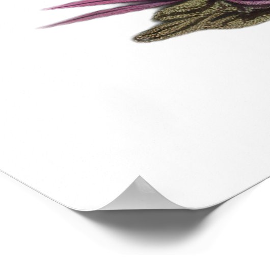 キノコ帽の下の青い猫 ポスター (角)