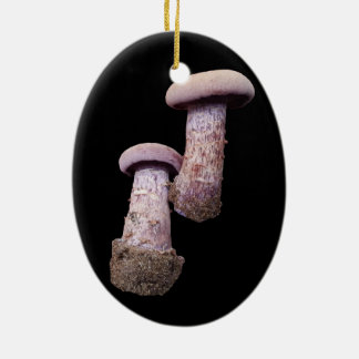 キノコ愛好家のオーナメント セラミックオーナメント