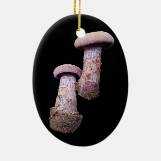 キノコ愛好家のオーナメント セラミックオーナメント (裏面)