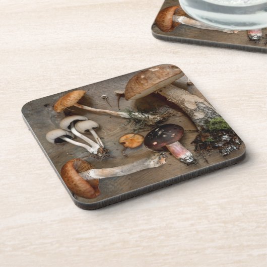 キノコ愛菌 コースター (左側)