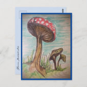 キノコ愛 ポストカード (正面/裏面)