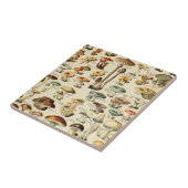 キノコ採集    タイル (側面)