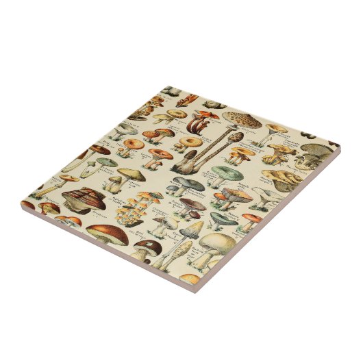 キノコ採集 タイル (側面)